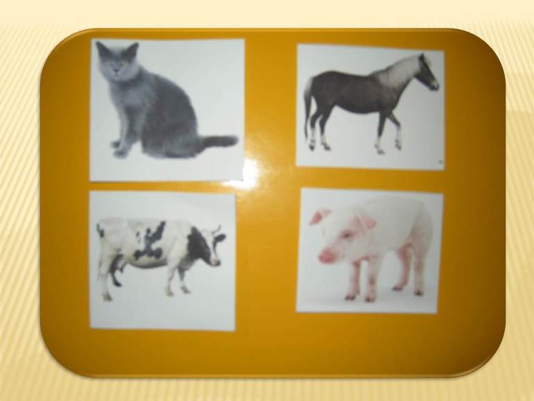 Месяц занятий Шичида (1,7) Наше юбилейное занятие