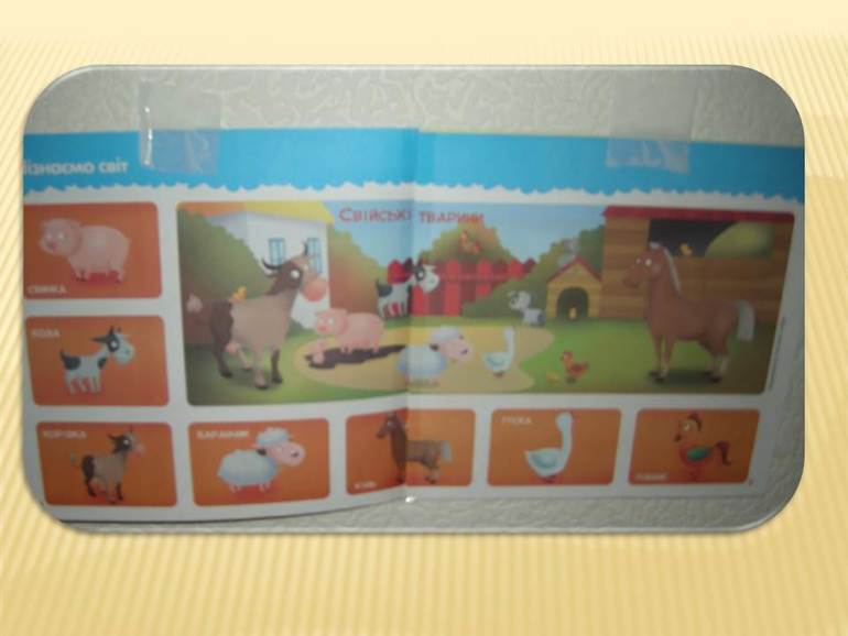 Месяц занятий Шичида (1,7) Наше юбилейное занятие