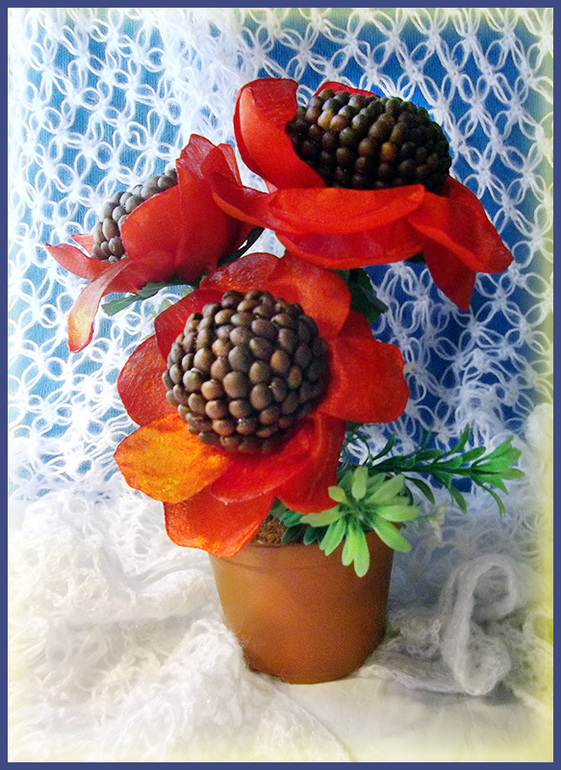 топиарий мак