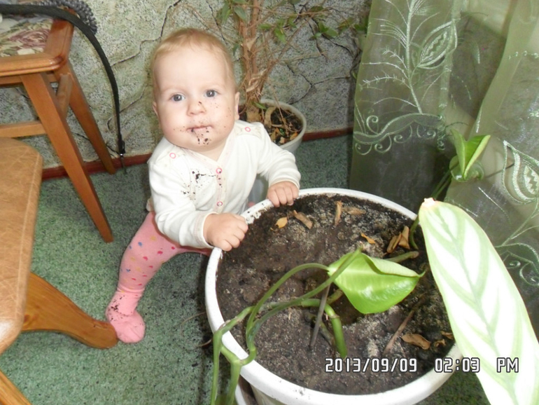 009ba09db7d4028dc593d51128bf97ab.jpg