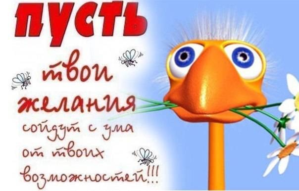 Ода ББ