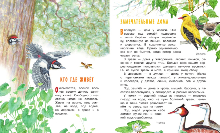 "лесные домишки". Книга виталия бианки лесные домишки. Бианки лесные домишки 1973. "лесные домишки". Сказки бианки лесные домишки.