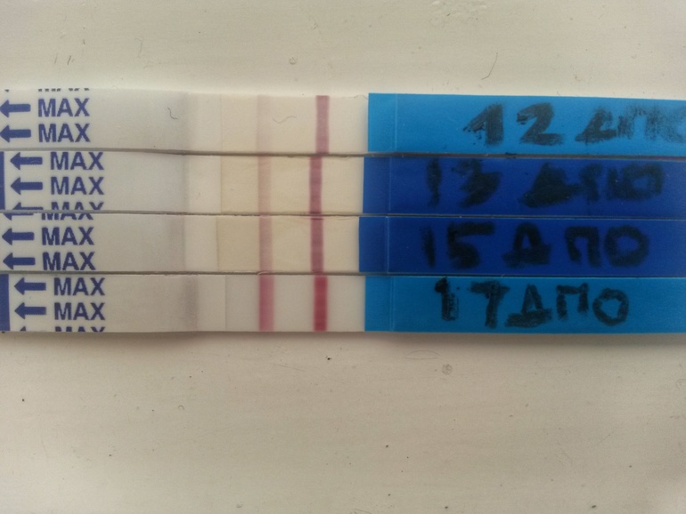 Полоски на тесте не ярчает. Полоски на тесте не ярчают. Тесты не ярчают неделю. Эвитест не ярчает. Как ярчают тесты на беременность.