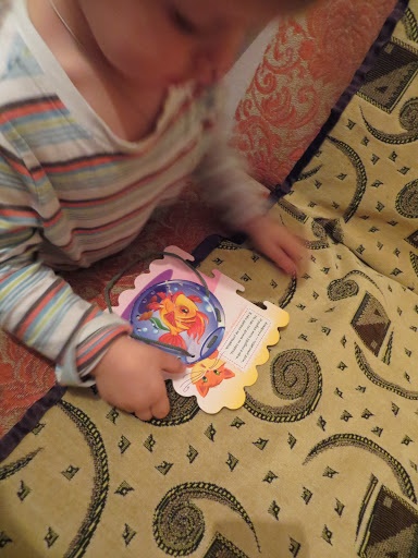 ТН Море. День 2 Рыбы