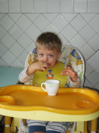 ТЗ Муха цокотуха