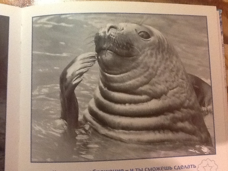 ТН эмоции. Скука и интерес