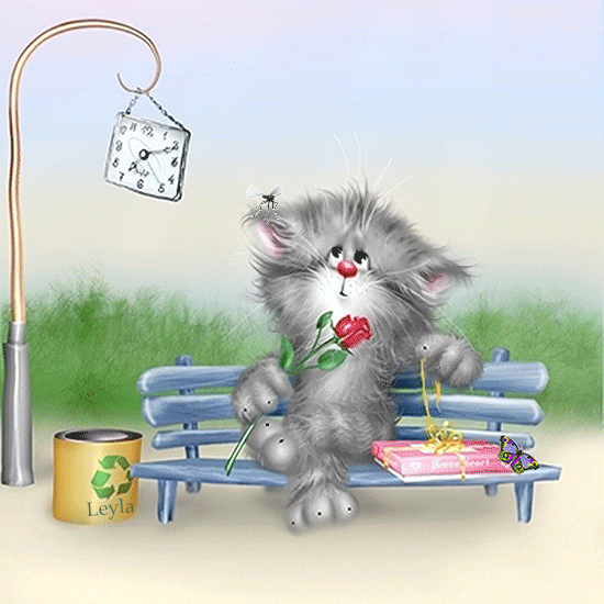 милые котейки)))