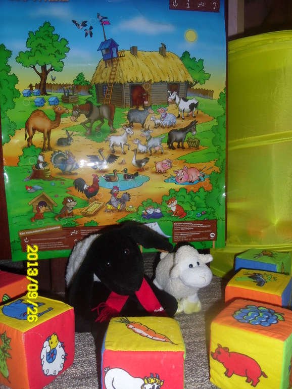 Тема дня: Вівця, баран, ягня (Овечки)