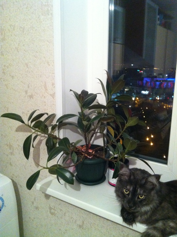 История нашего планирования