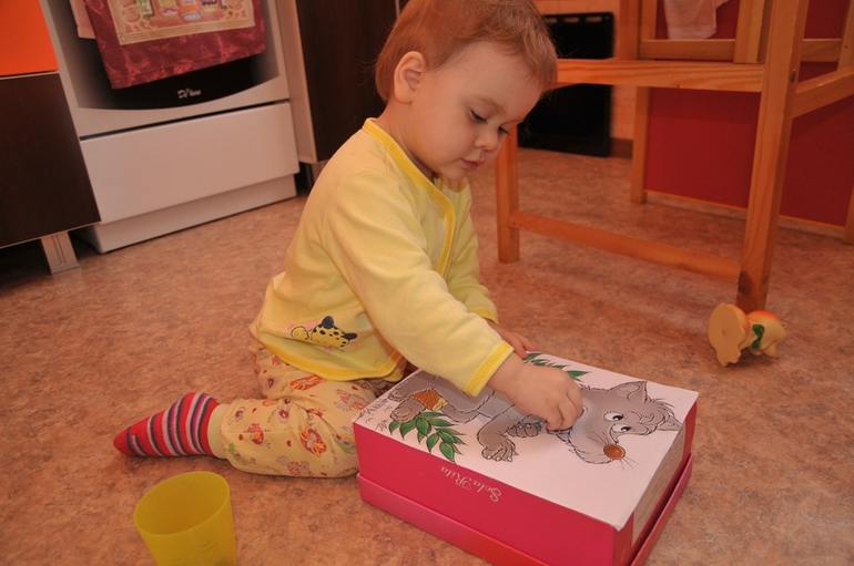 ТН "Лесные друзья" д.4 Волк