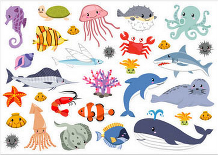 Фетр с рисунком