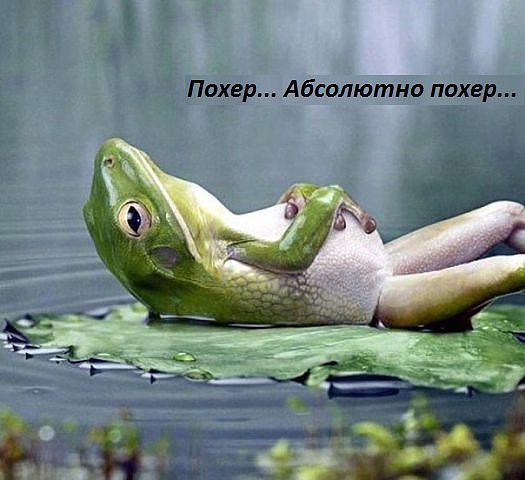 Делай то, что хочется, потому что тебя всё равно будут осуждать до конца жизни....
