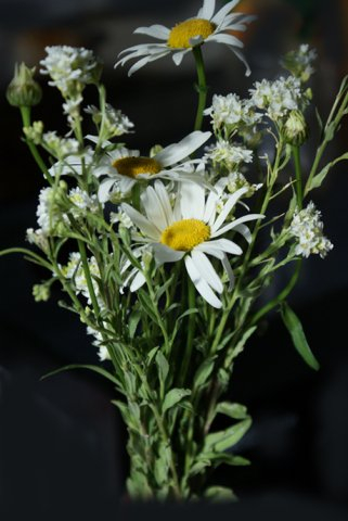 С Весной, девочки!