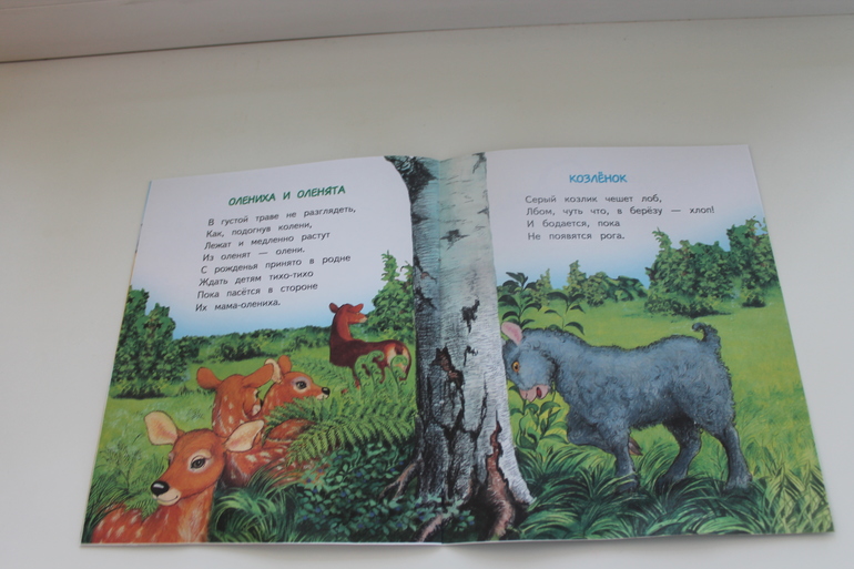 Наши Читалки Июнь - 1 год 6 месяцев