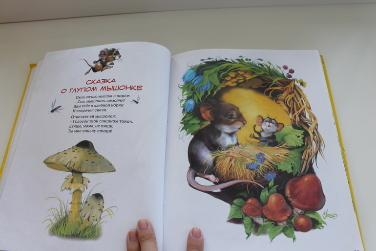 Наши Читалки Июнь - 1 год 6 месяцев