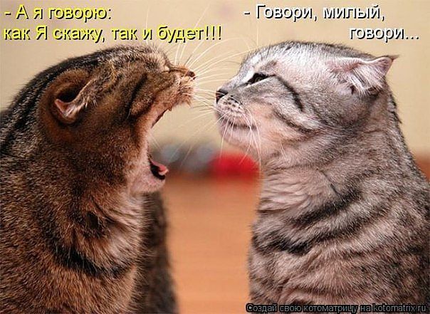 КАК УБЕРЕЧЬ СЕБЯ ОТ БАНАЛЬНЫХ ОШИБОК В ОТНОШЕНИЯХ С МУЖЧИНАМИ ?