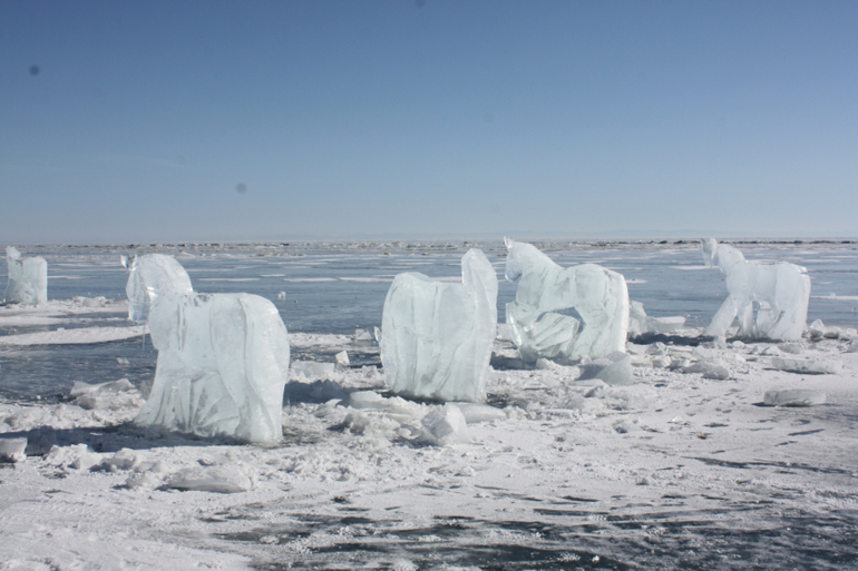 Табун ветров)) международный день ледяного молчания))