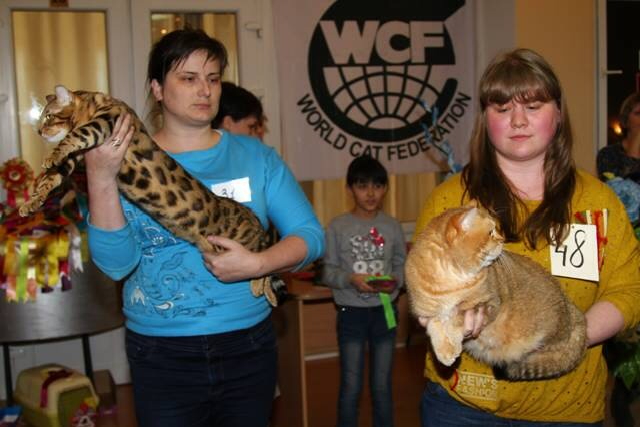 Как мы ездили в Казахстан))