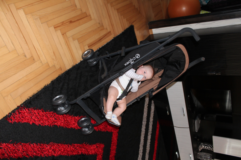 сайбекс оникс