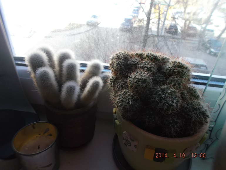 И я своих покажу)