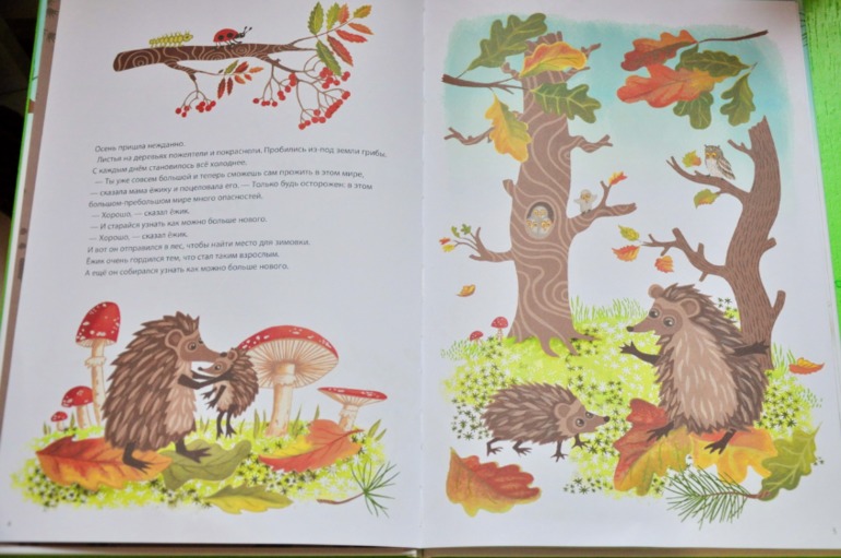 Ежик покидает дом