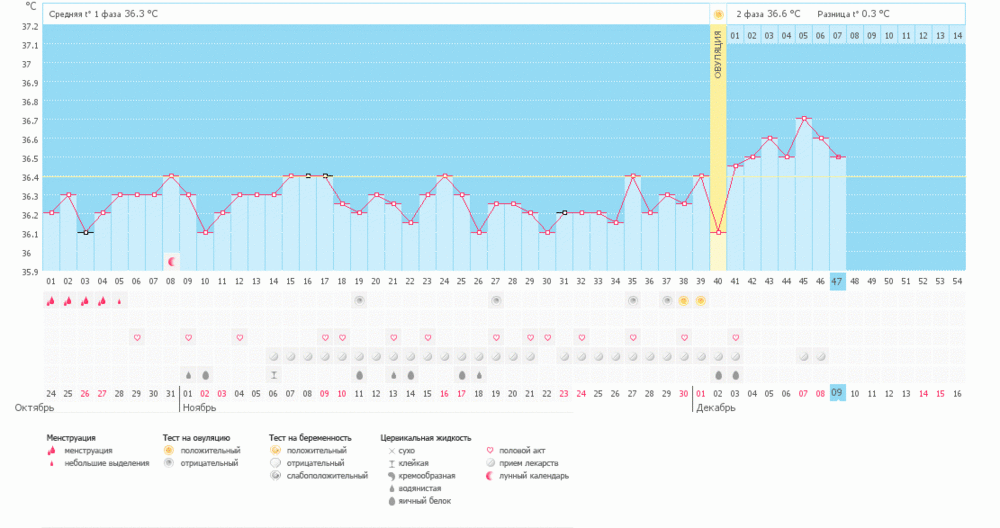 ИЗ или не ИЗ? Вот в чем вопрос!