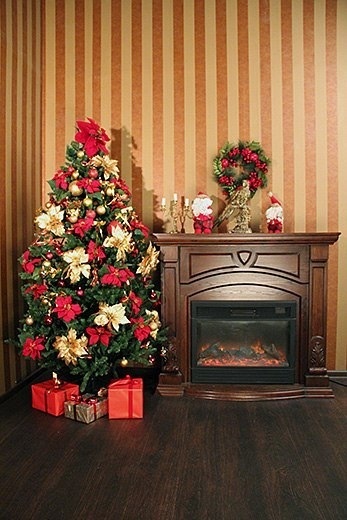 Новогодний Фотопроект