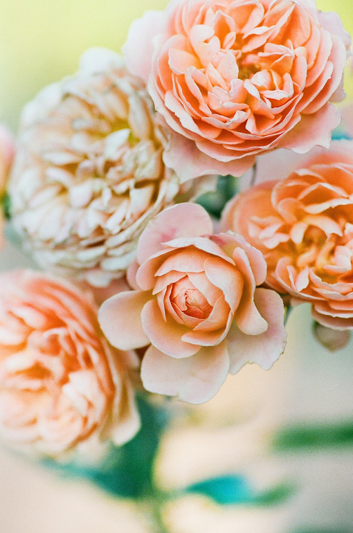 ко мне приезжают. съемки