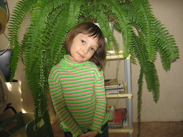 Про стрижки для девочек