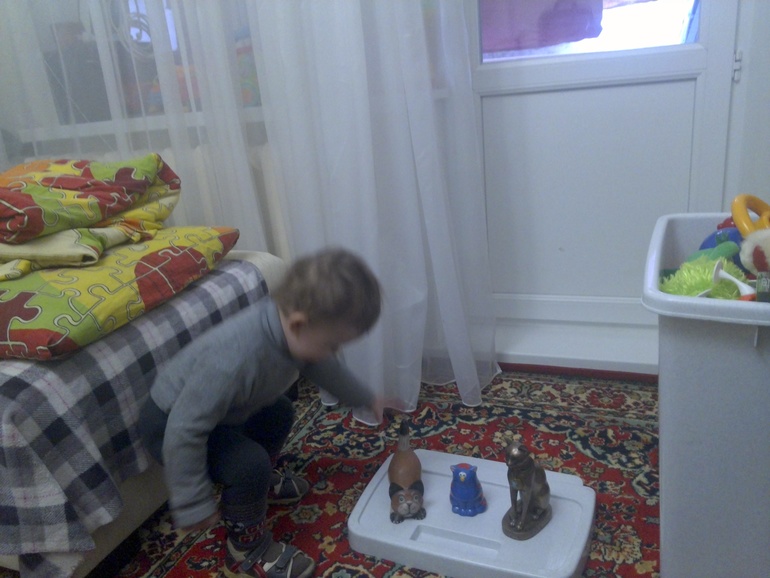 вот так мы познакомились с кошками