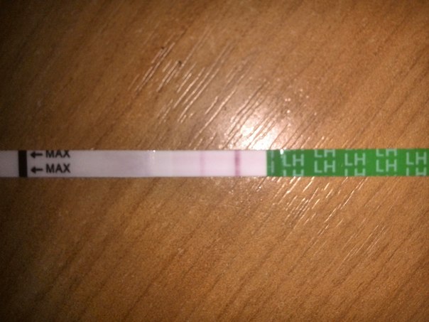 Первые попытки