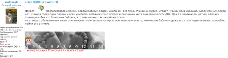 Референдум Донецк