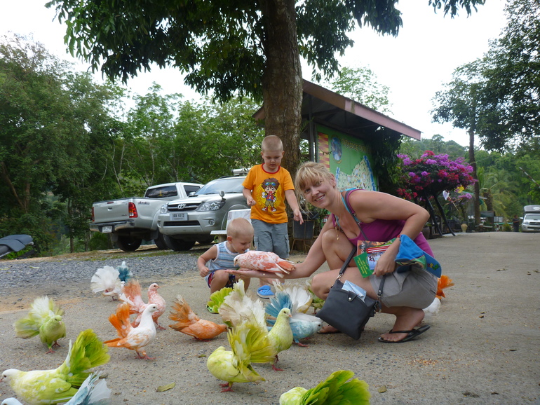 Парадайз парк