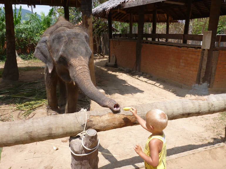 Наверно надо закончить тут с весенним Самуи и вскоре начать добавлять летний)