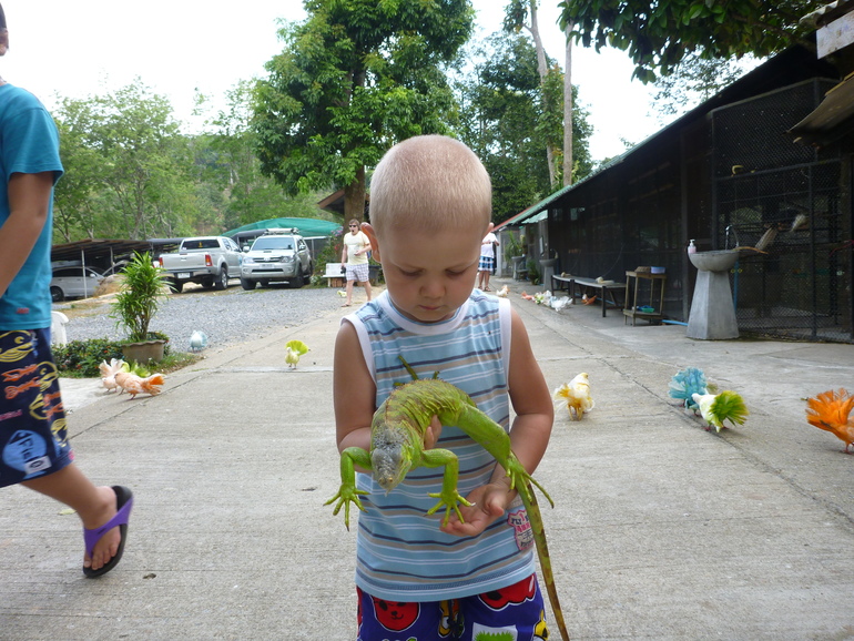 Парадайз парк