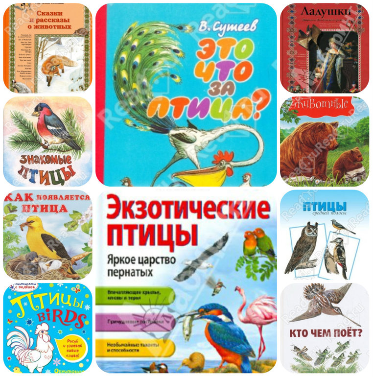10 книг на тему ПТИЦЫ с раздачей материала.