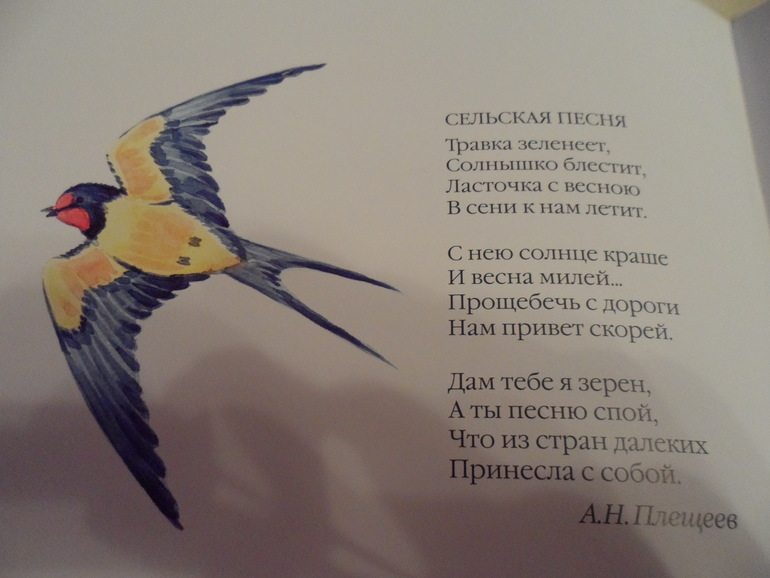 Птицы весной