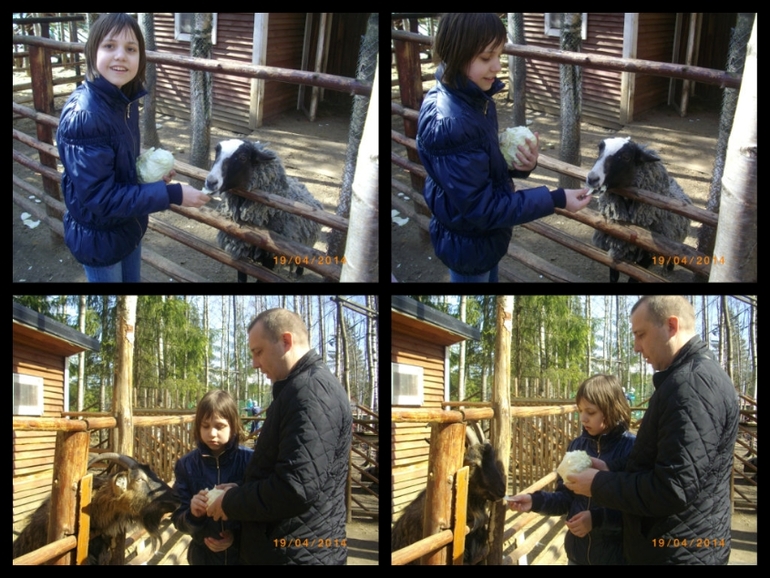 Зубровник под Токсово