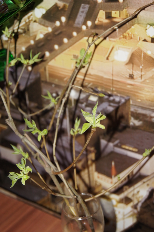 последний денек