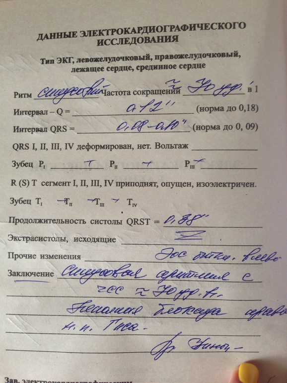 28 недель. Отчет и фото.