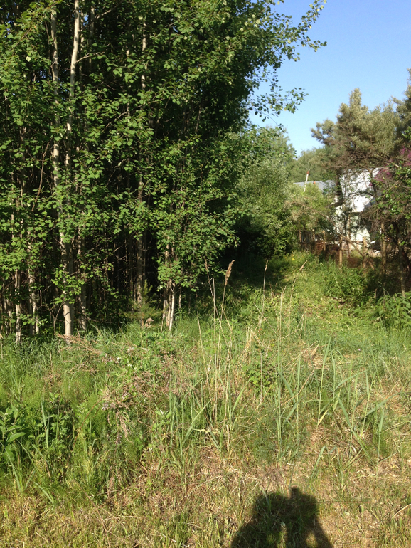 Продам участок 15 сот. с возможностью прописки (70 км от МКАД)