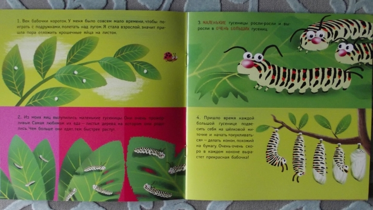 О. Муравьева: Кем я буду?