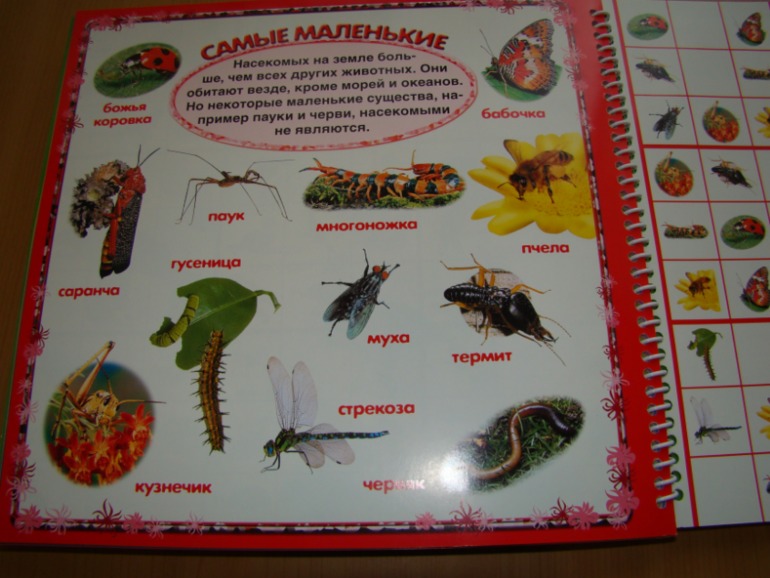 САФАРИ СУДОКУ ДЛЯ ДЕТЕЙ.