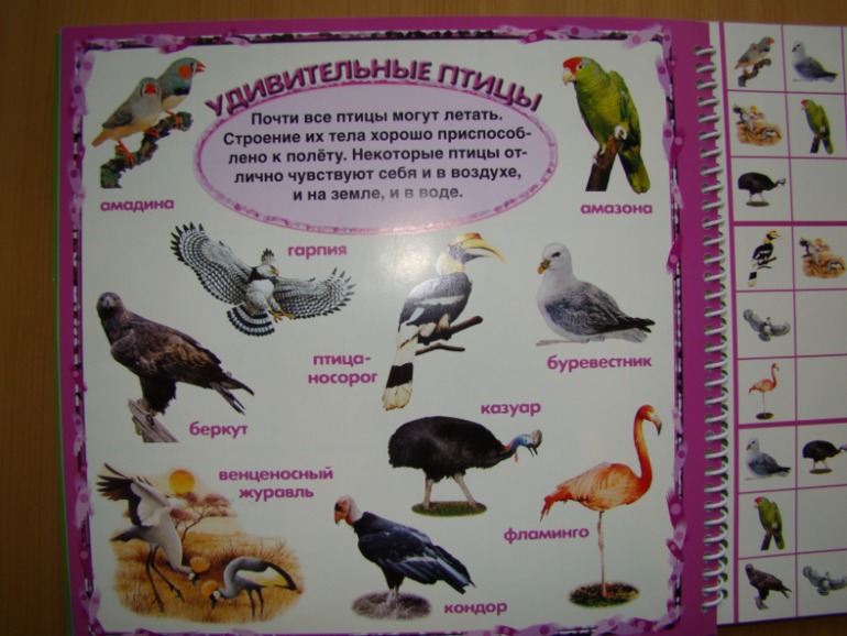 САФАРИ СУДОКУ ДЛЯ ДЕТЕЙ.