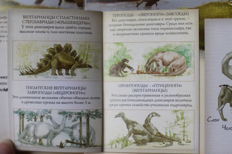 Динозавроведение. Поиски затерянного мира