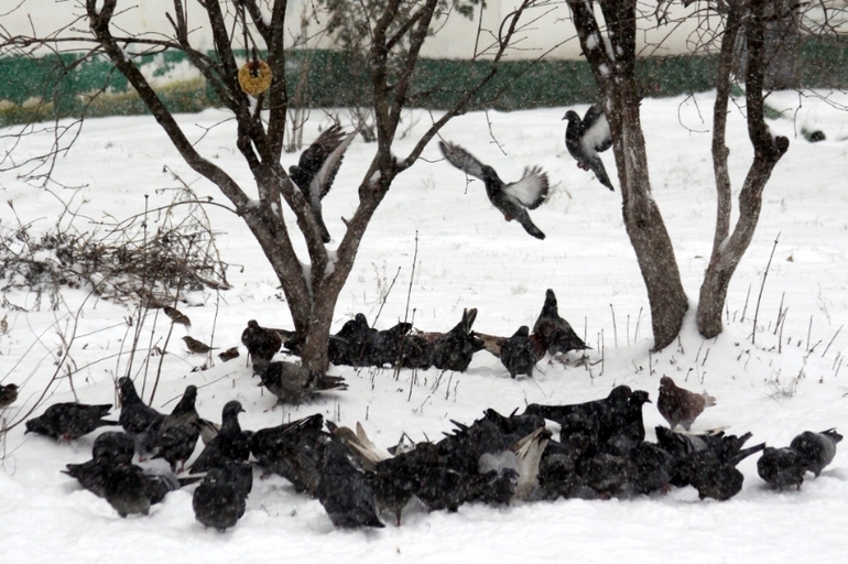 Общественно-полезный труд :)