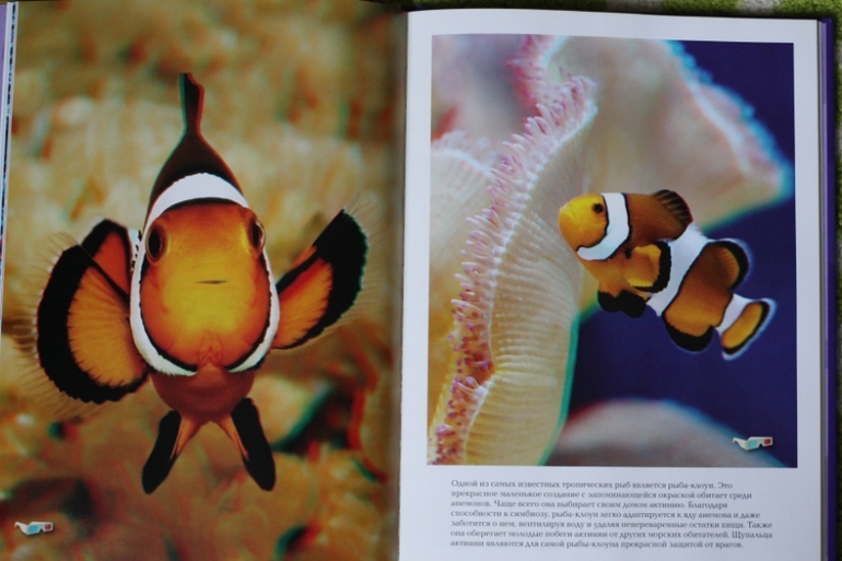 3D книга. Рыбы