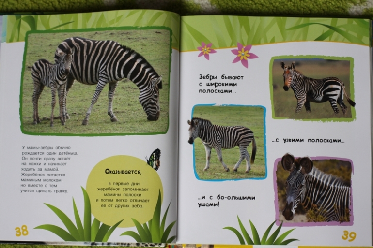 Энциклопедия животных для малышей