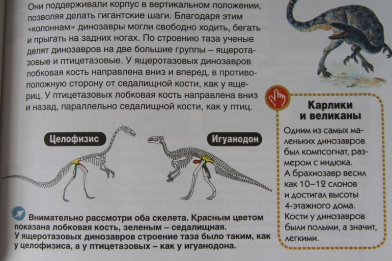 Познакомься, мама...