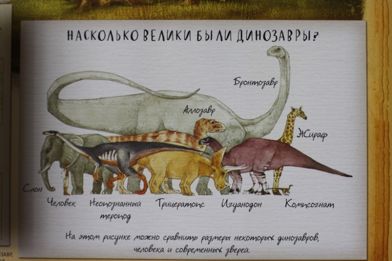 Динозавроведение. Поиски затерянного мира